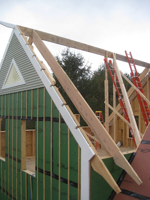 House: Main Roof rafters