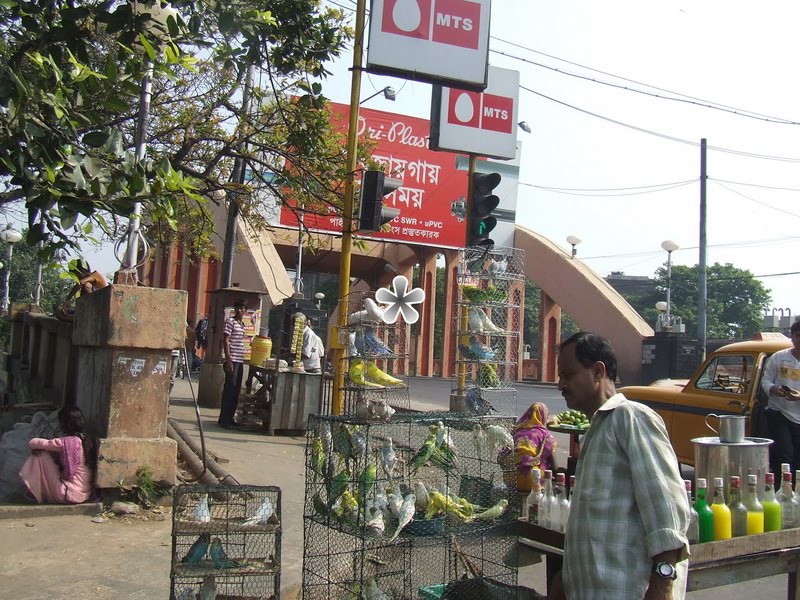 [DSCF8265.JPG]