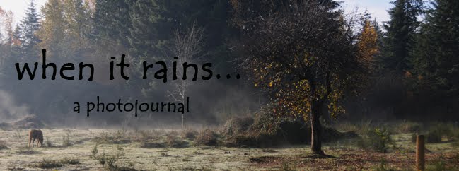 when it rains....