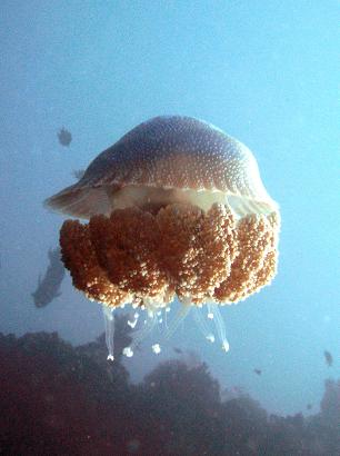 [IMG_1844.JPG]