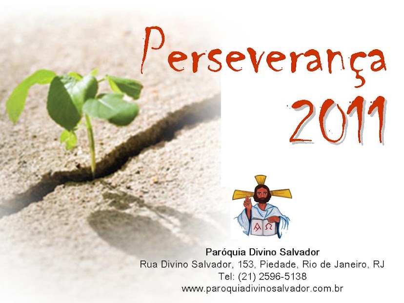 Perseverança: SUGESTÕES PARA A PERSEVERANÇA 2011
