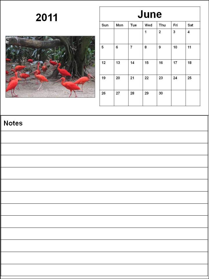 june calendars 2011. Blank Calendar 2011 June or