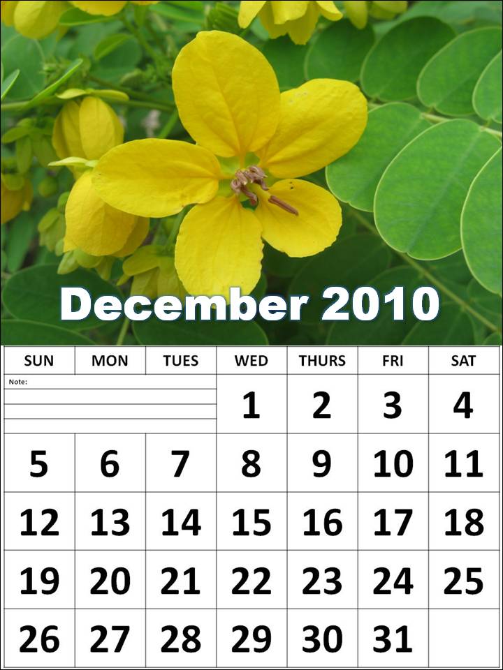 Black Wallpaper December 2010 Calendar