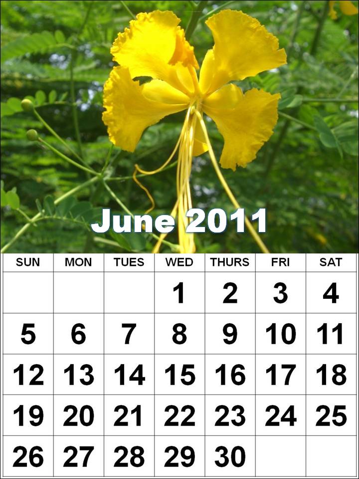 june calendars 2011. Monthly+calendar+2011+june