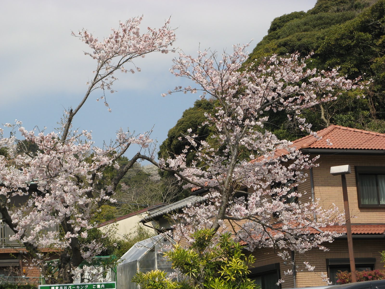 [Kamakura+015.jpg]