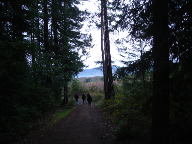 [hike+in+twilight.JPG]