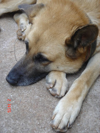 ○○○○○○○○○○○○○○○