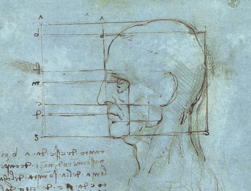 [Image: Proportions_of_the_Head.jpg]