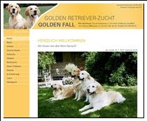 Goldenfall Retriever Zucht