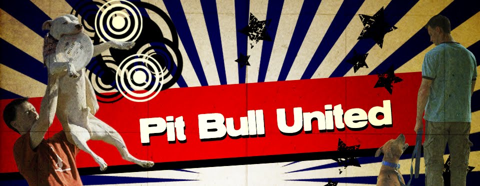 Pit Bull United