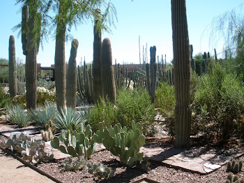 Millions of Pricklies