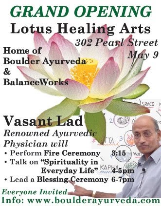 lotus healing arts