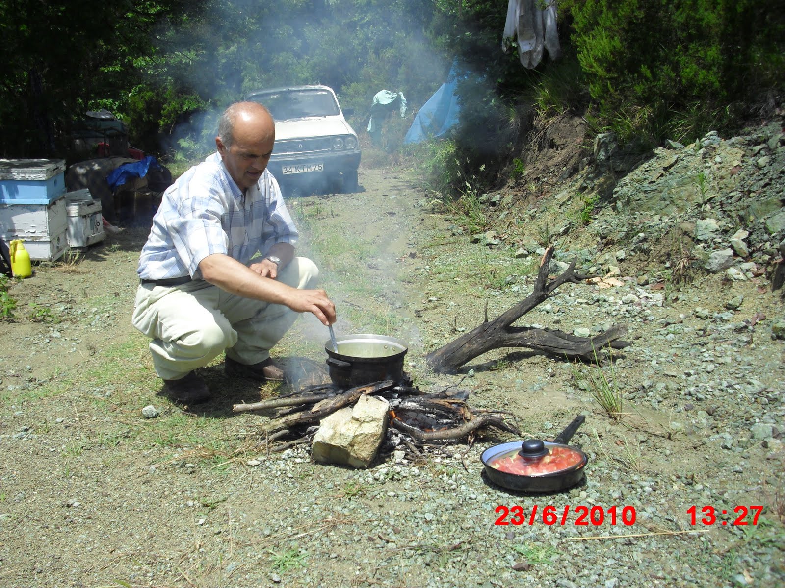 arı ve gizemli dünyası: 28.Haz.2010