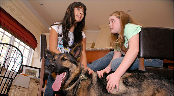 That is the German Shepherd dog I know. That is the German Shepherd dog I