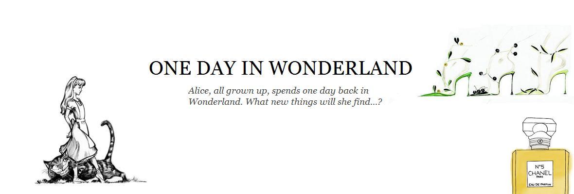 One Day in Wonderland