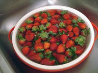 [strawbsweb.jpg]