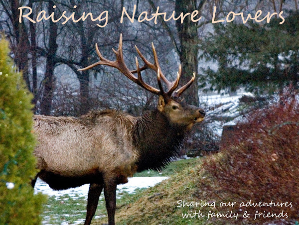 Raising Nature Lovers