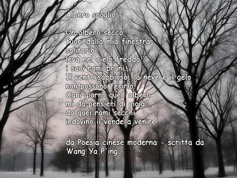 Poesie Gallery Albero Secco Poesia