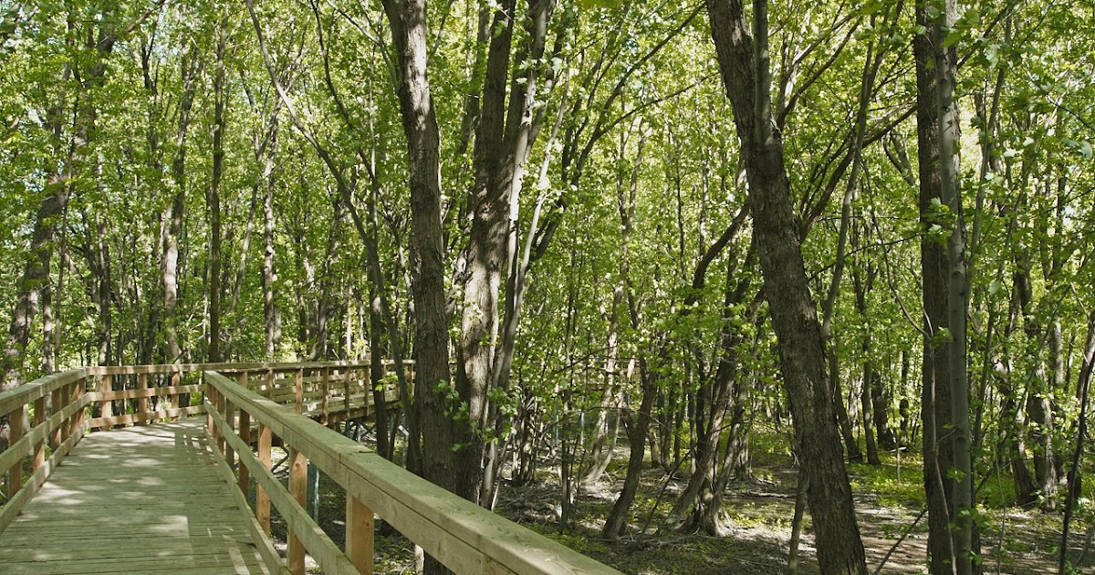Au Delà Du Fleuve Et Sous Les Arbres Temps d'arrêt: Sortie bord du fleuve à Yamachiche