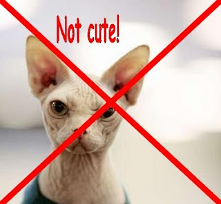 The rantings of a witty lady: So ugly it's cute