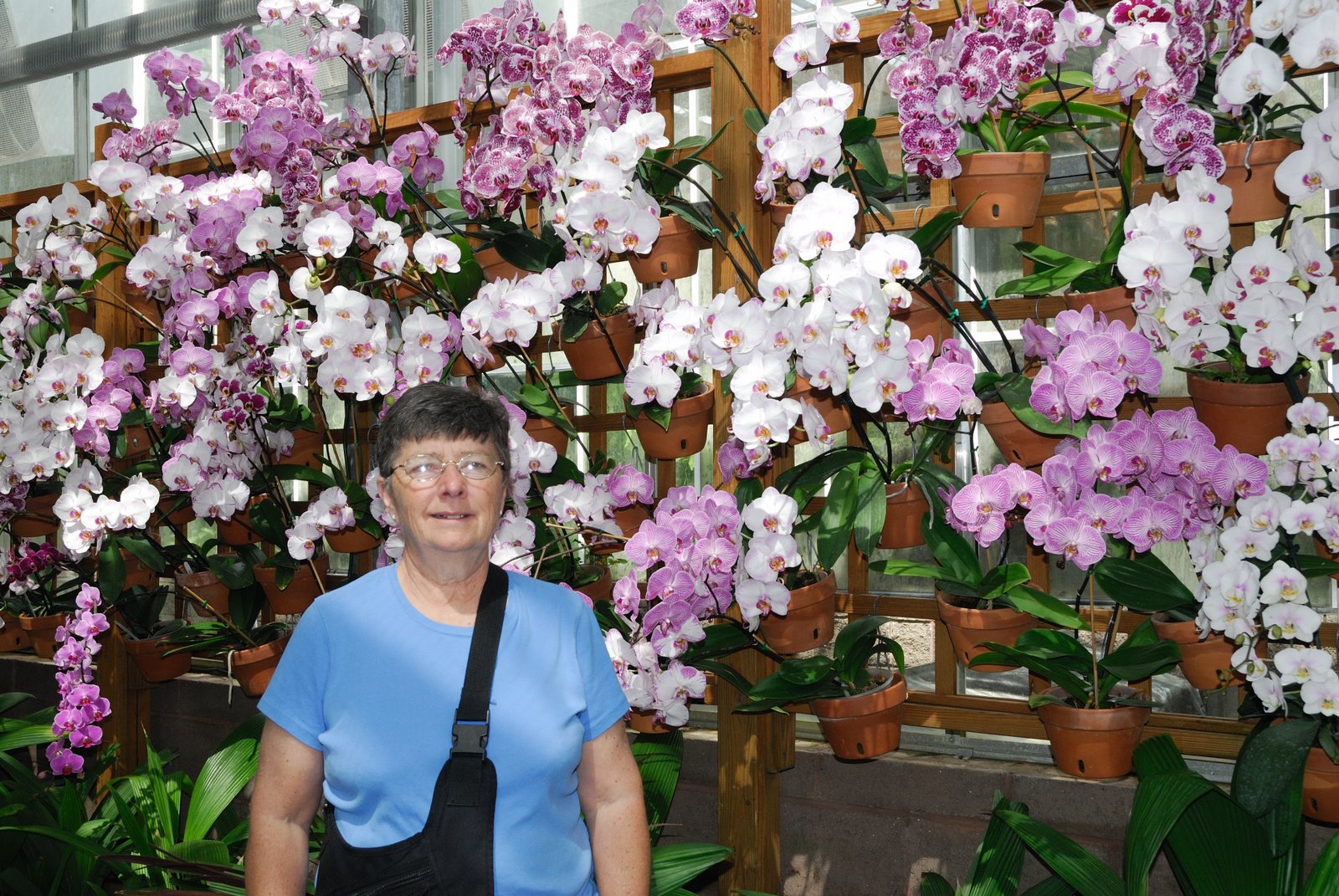 [Mom+with+orchids.JPG]