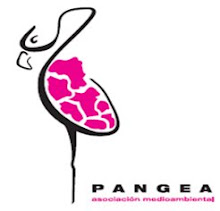 PANGEA, Asociación Medioambiental Onubense