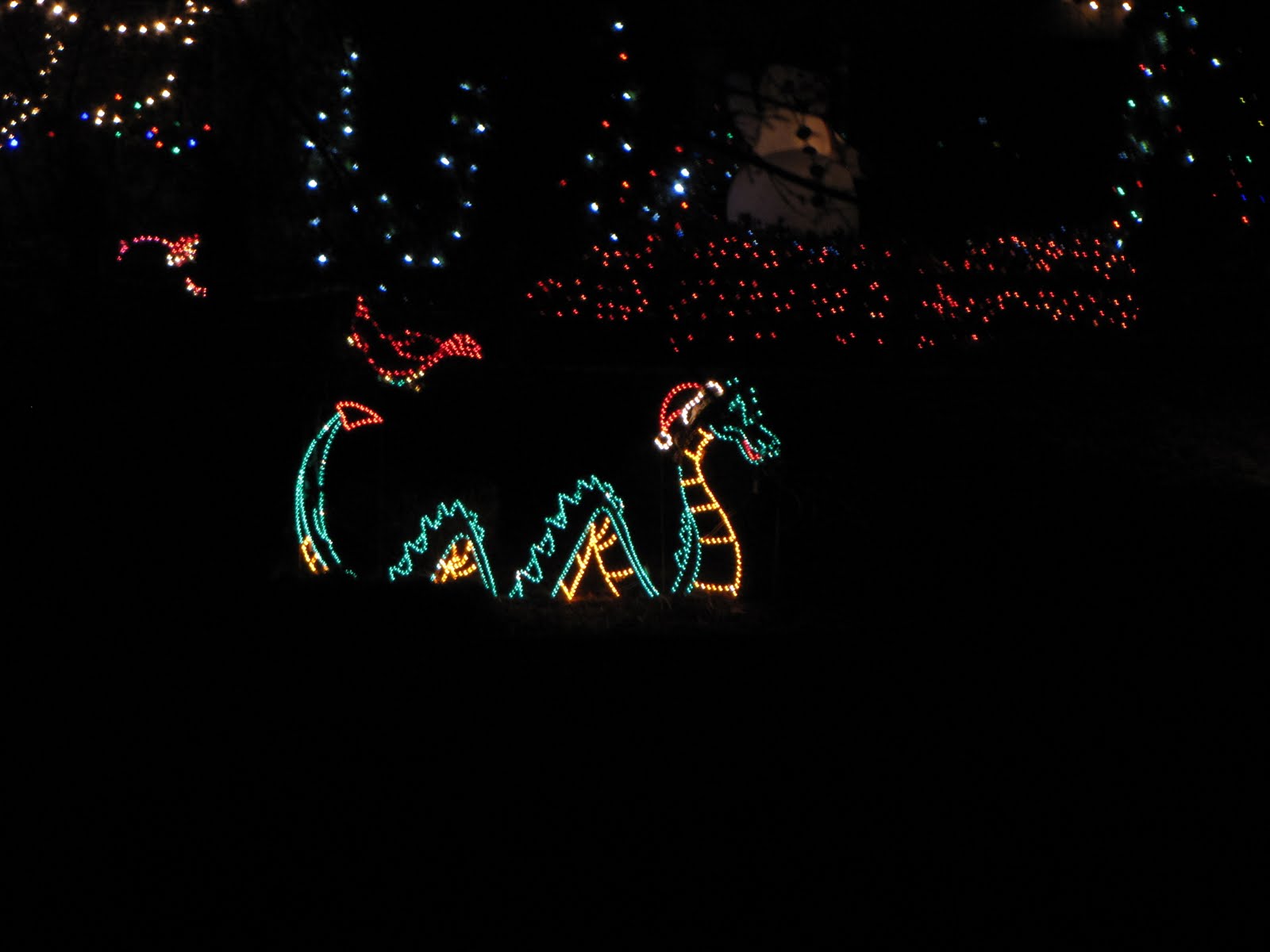 Michael and Katie zoo light safari