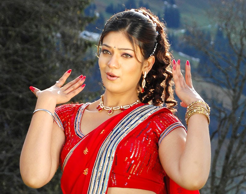 Hollywood Indian Sexy Siya Sexy Navel Show Hot In Red Saree