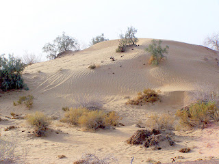 Deserts of Pakistan ~ Jaho Jalal