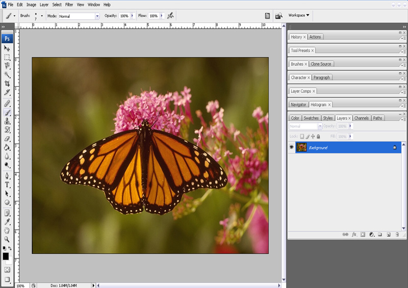 Tracing menggunakan photoshop ~ Damaru Studio
