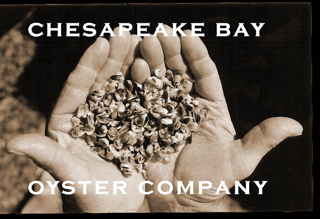 THE OYSTER IS OUR WORLD