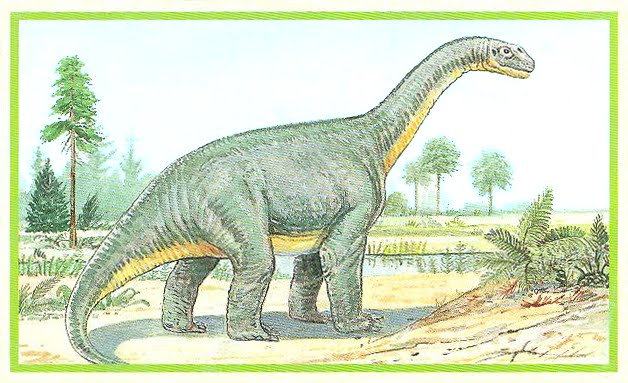 [#34+Camarasaurus.bmp]