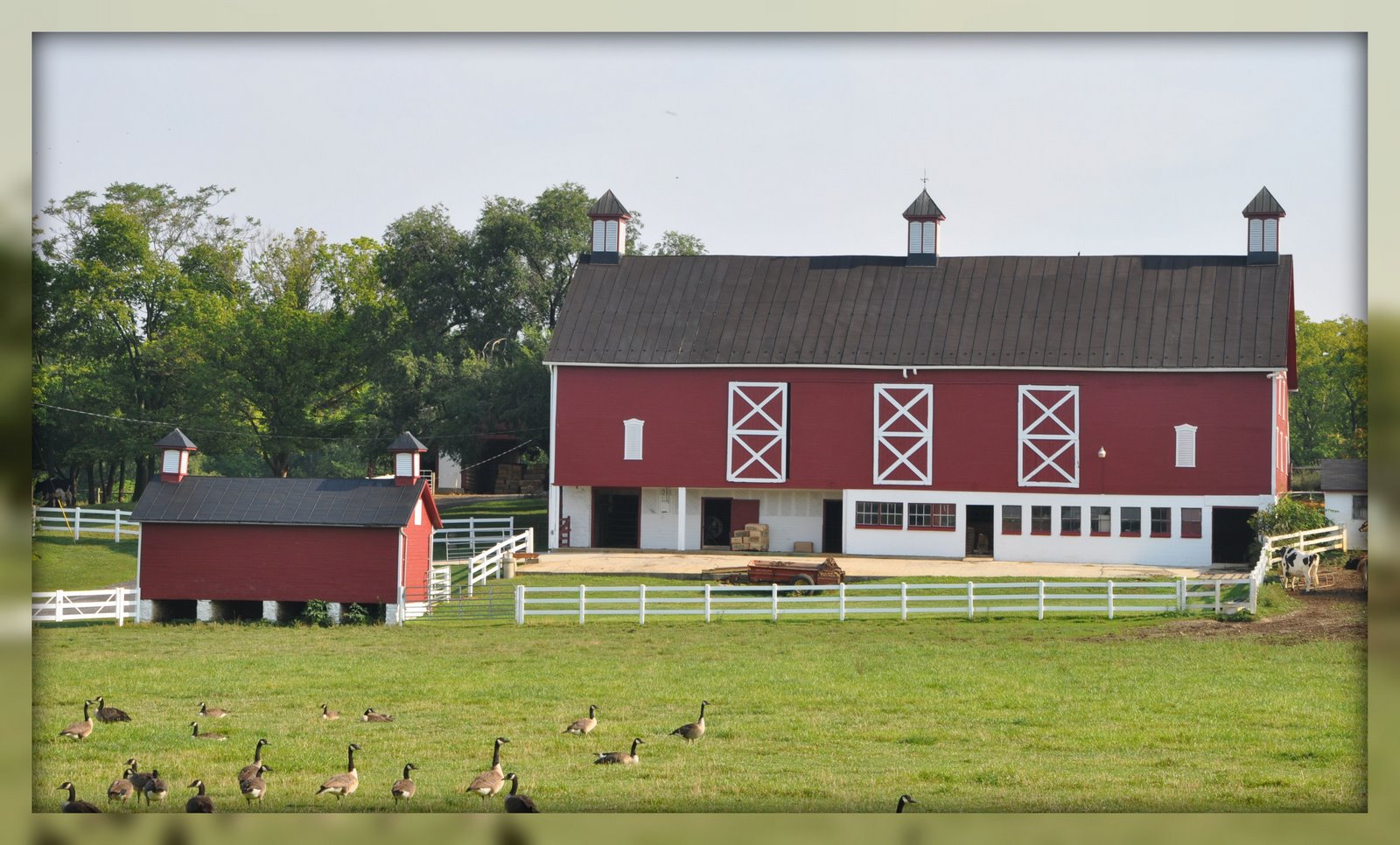 [boonsboro+barn1.jpg]