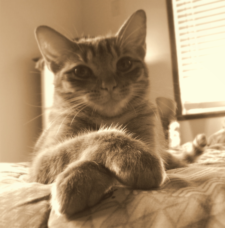 Kilauea Poetry Tangerine Sky