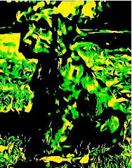 Be Funky Labradoodle 2