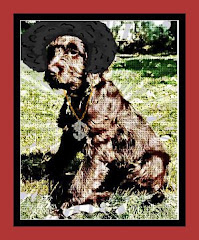 Be Funky Labradoodle 4
