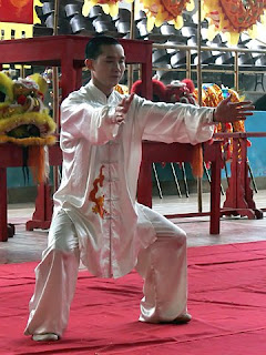 mike feng maitre kung fu