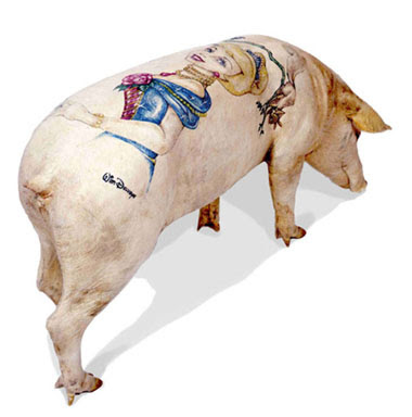 Cochon tatoué