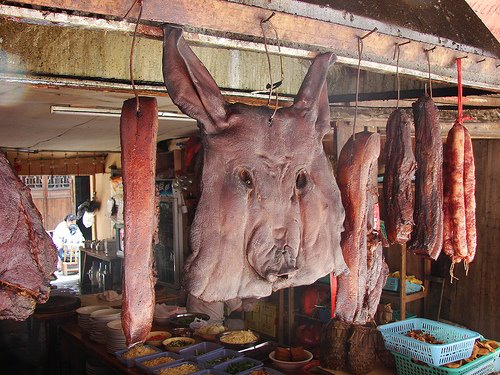 cochon fenghuang