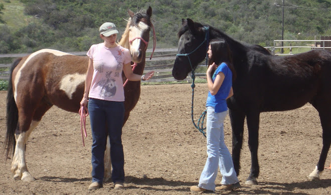 Christe with Tonka instructing Amber with Jaguar in the arena