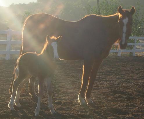 River and Blitzen