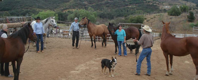 Horsemanship Class