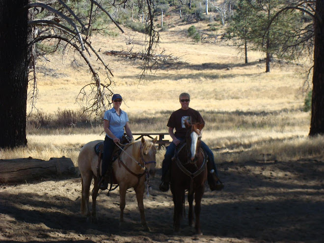 Treasure & Spirit in the mountains