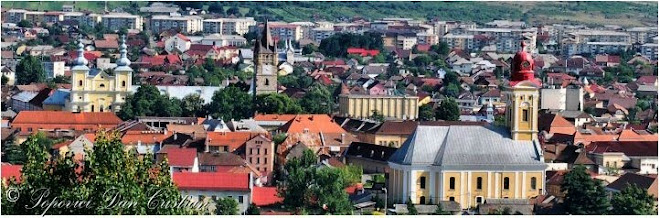 The Old Center of Baia Mare-Rivulus Dominarum