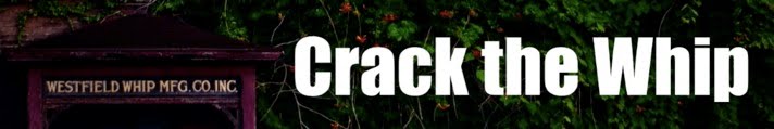 Crack the Whip