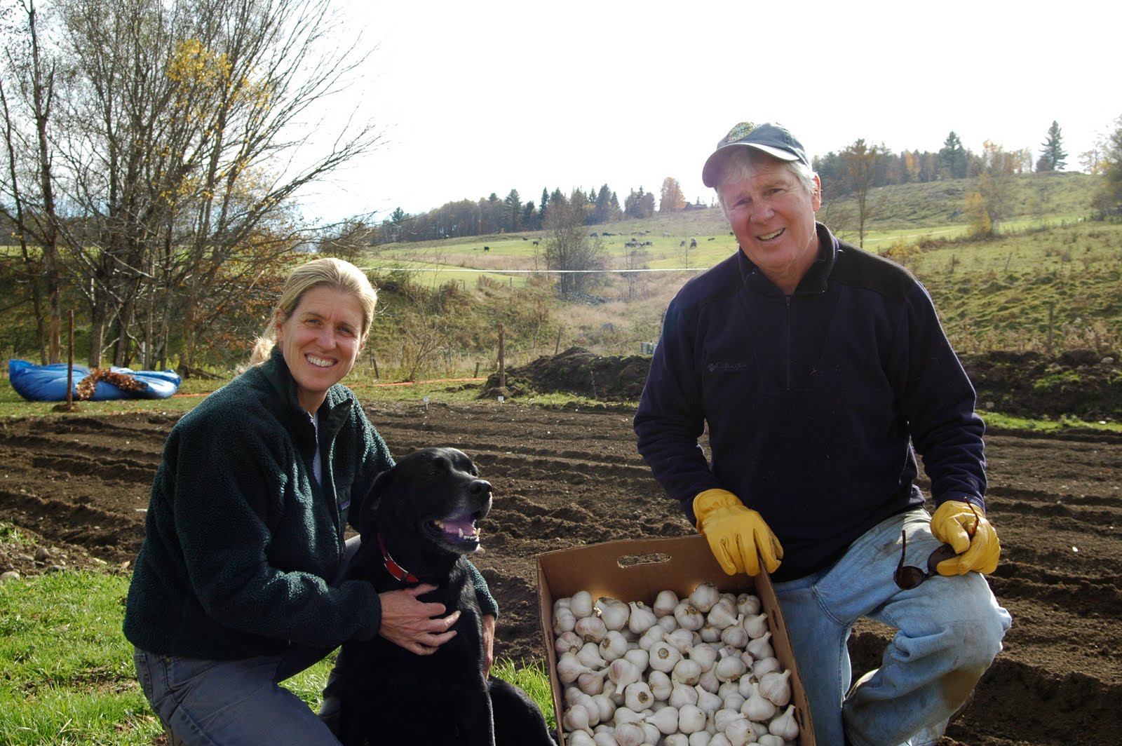 Garlic farm in Vermont