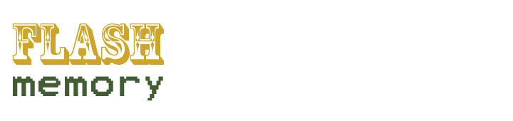 FLASH MEMORY