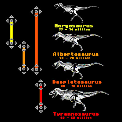 different types of tyrannosaurus