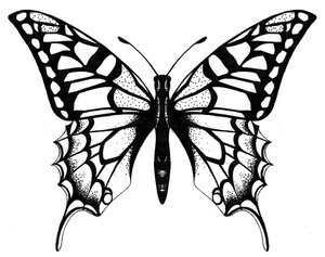 Nice Butterfly Tattoos With Image Butterfly Tattoo Designs Picture 3