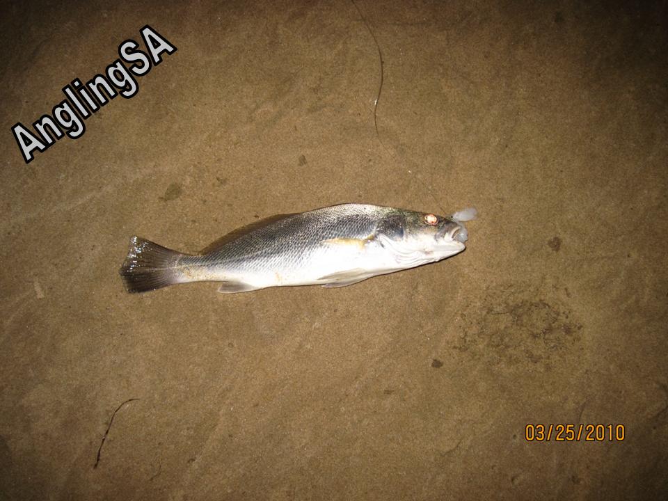 Angling: South - Eastern Cape: Nature's Valley